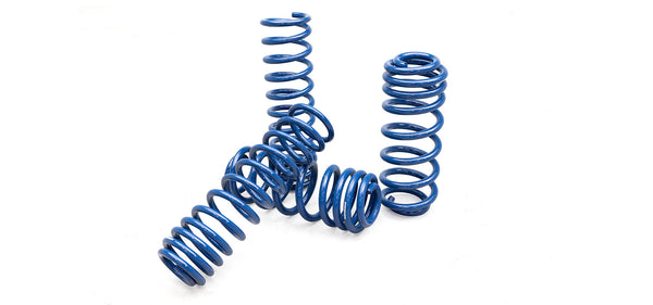 AEV 3" High Capacity Coil Springs for 2018+ JL Wrangler