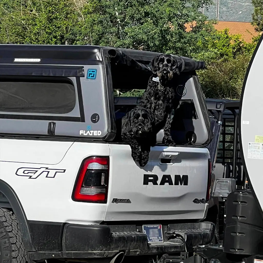 FLATED FULL-SHORT MR54