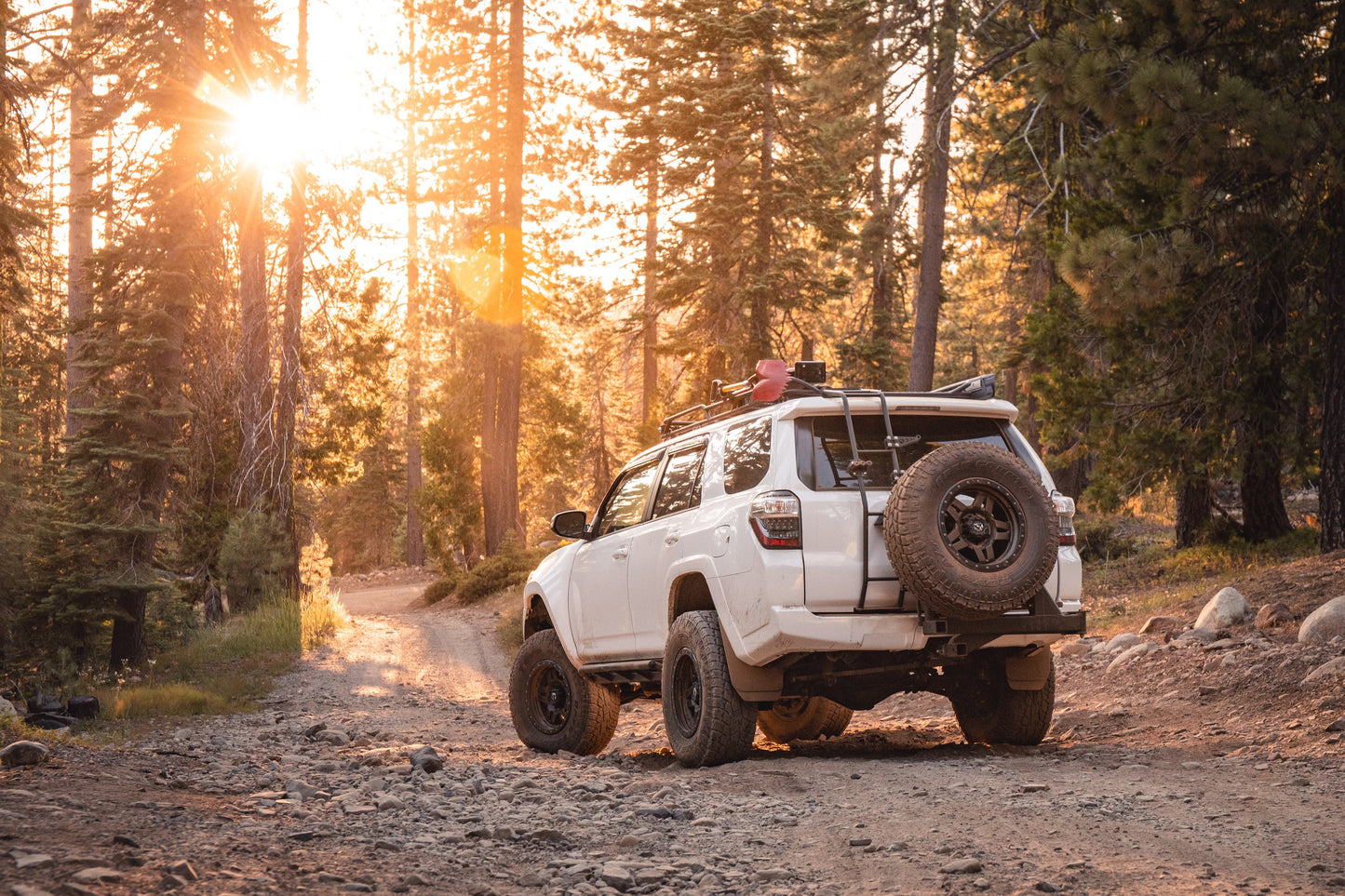 RIGD SUPPLY UltraSwing® Short-Fit Spare Tire Hitch Mount