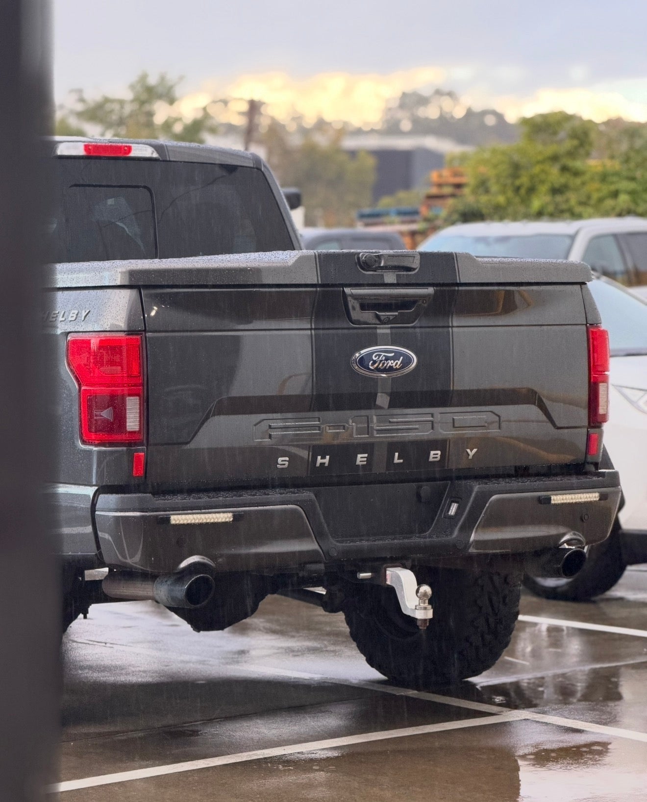 2019 Ford F-150 Shelby Supercharged 4x4 - Magnetic Grey Metallic