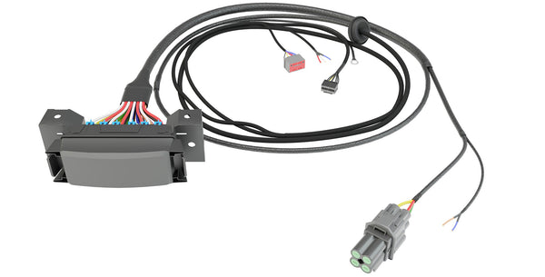 AEV Harness Kit for 2024+ GM HD Trucks (w/ Factory Aux Switches)