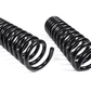 BDS 2013-2024 Ram 3500 / 2014-2024 2500 Ram Coils 3" Diesel - 4" Gas