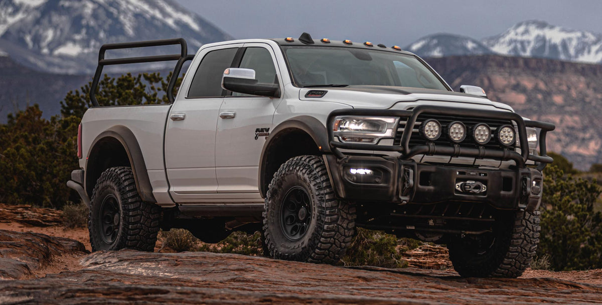 AEV Brush Guard for 2019+ Ram HD