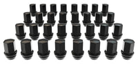 Set of black lug nuts on a white background | 32 Lug Nut Kit