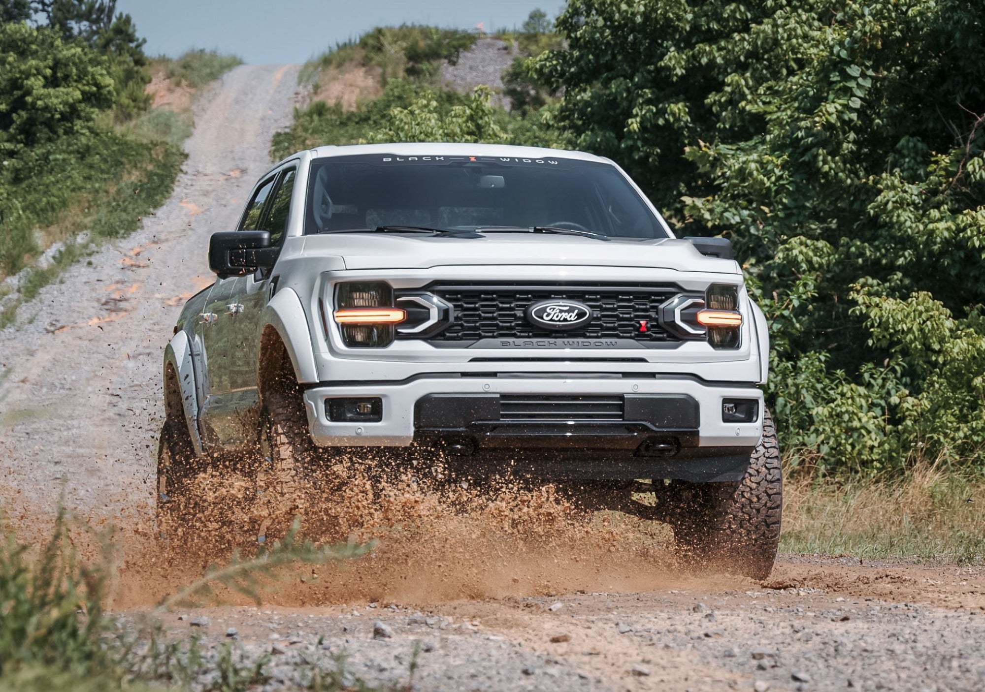 Ford F-150 Black Widow three-quarter